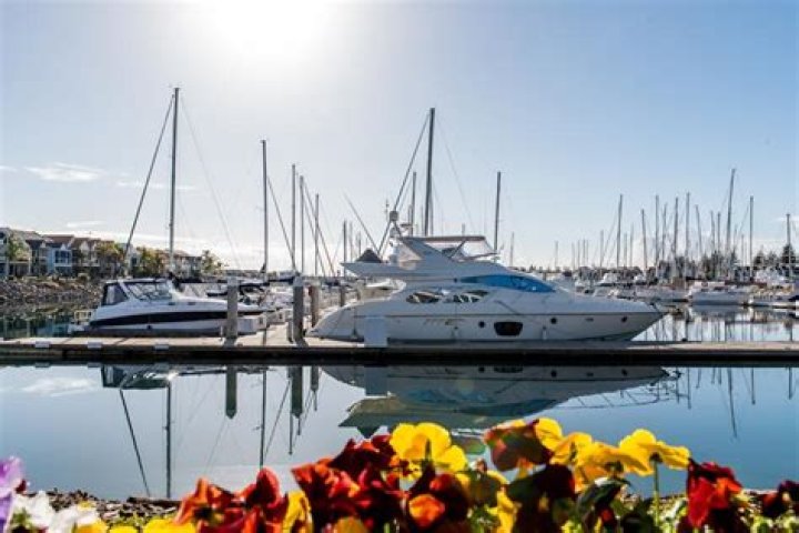How much are berthing fees?