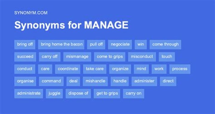 What is a word for manage?