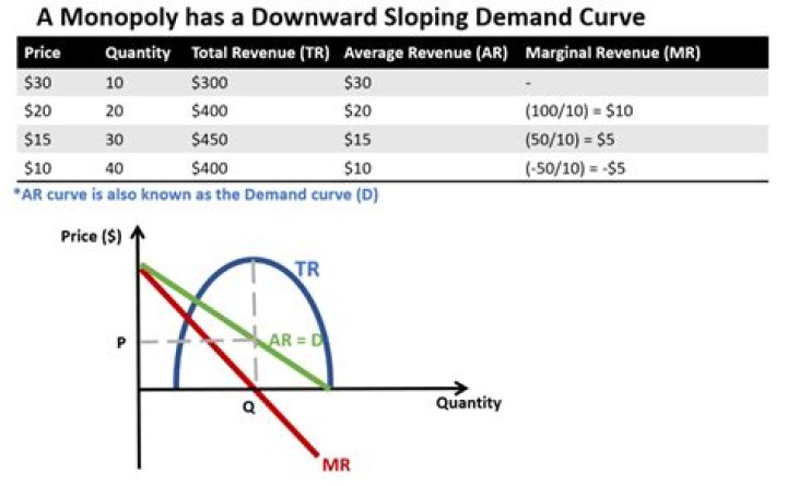 What is the market demand curve in a monopoly?